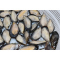 New Coming Shellfish Frozen Half Shell Mussel